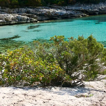 Mt Seafront Residence アパート *