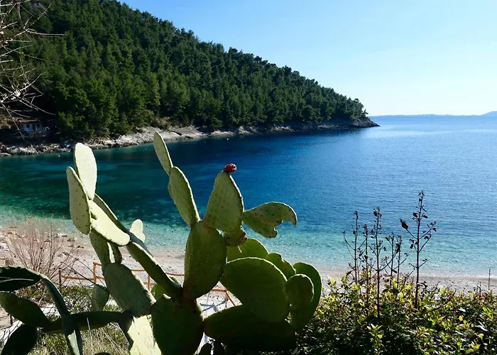 Appartamento Mt Seafront Zavalatica