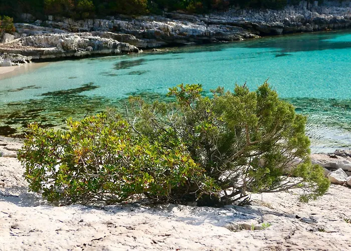 Mt Seafront Appartamento *