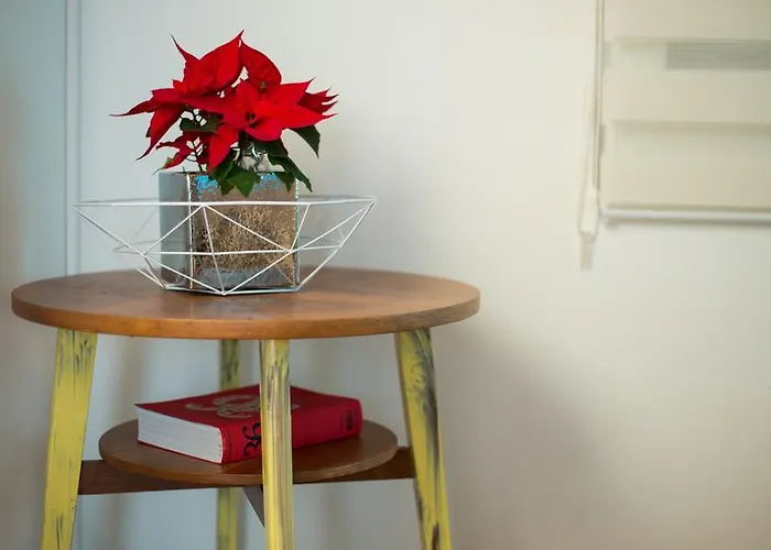 Mt Seafront Zavalatica