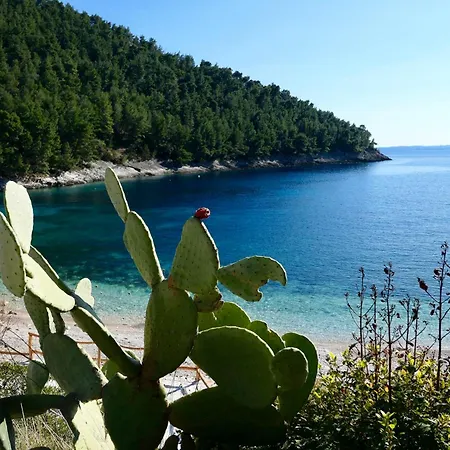 דירה Mt Seafront Residence זבלטיצה