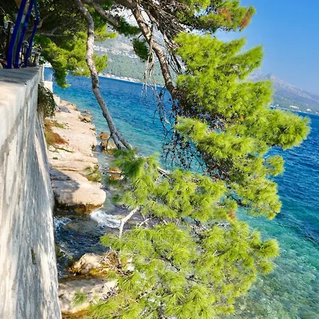 Mt Seafront Residence Apartment Zavalatica
